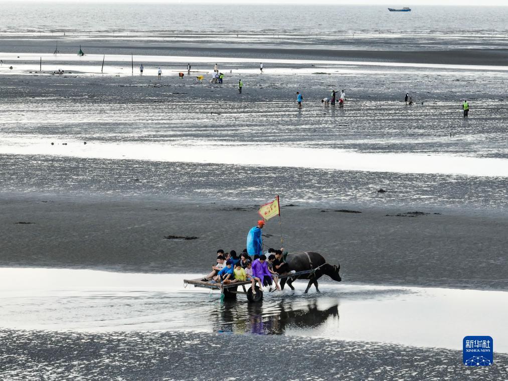 海洋之神登陆